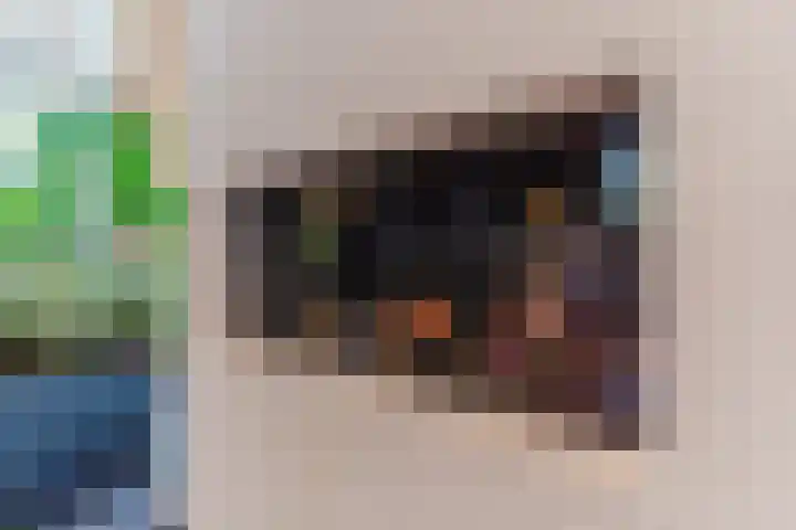 Fili 4 Geldrop thumbnail 24