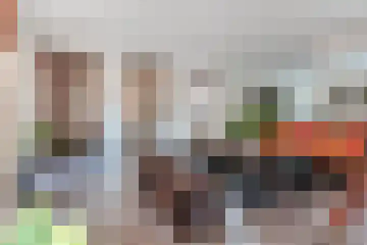 Fili 4 Geldrop thumbnail 26