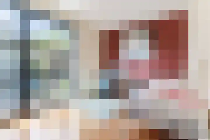 Fili 4 Geldrop thumbnail 34