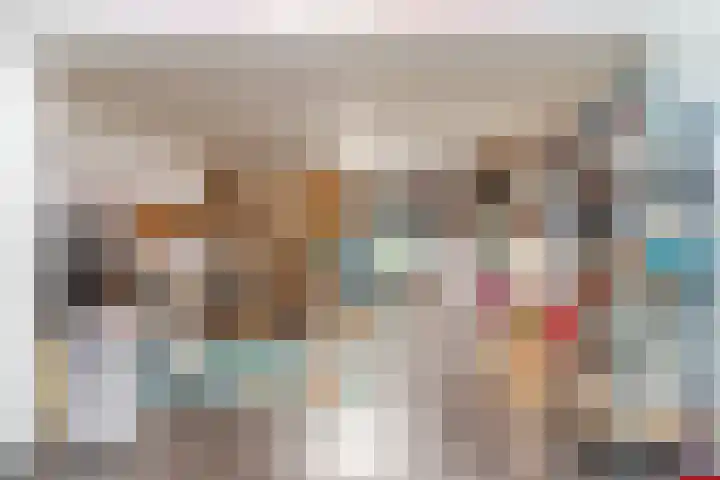 Fili 4 Geldrop thumbnail 39