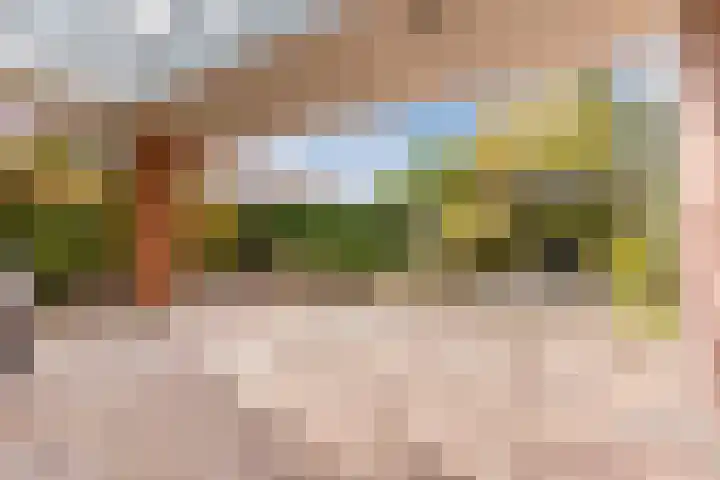 Fili 4 Geldrop thumbnail 4