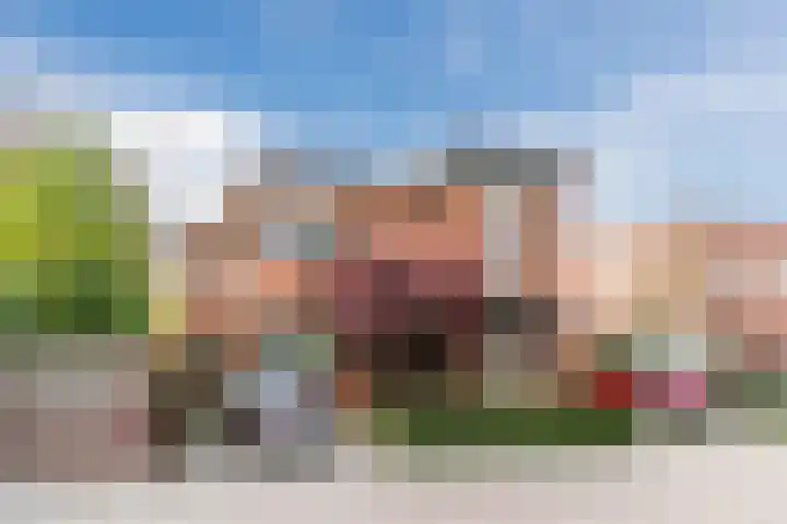Fili 4 Geldrop thumbnail 5