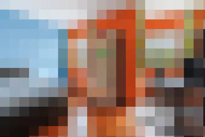 Fili 4 Geldrop thumbnail 52