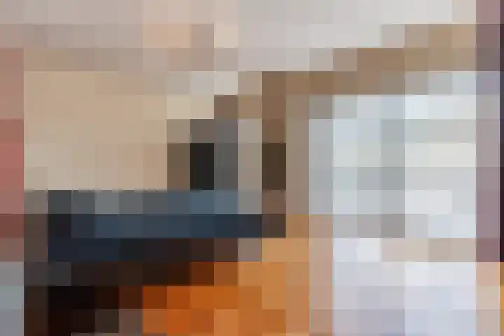 Fili 4 Geldrop thumbnail 54