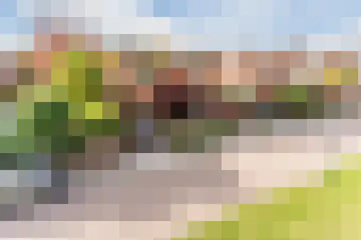 Fili 4 Geldrop thumbnail 6