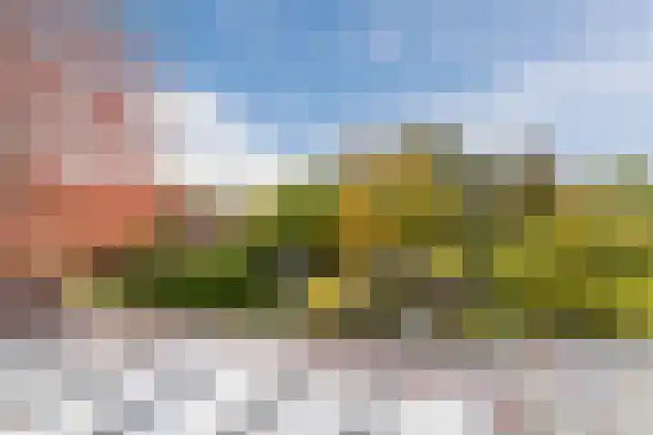 Fili 4 Geldrop thumbnail 62
