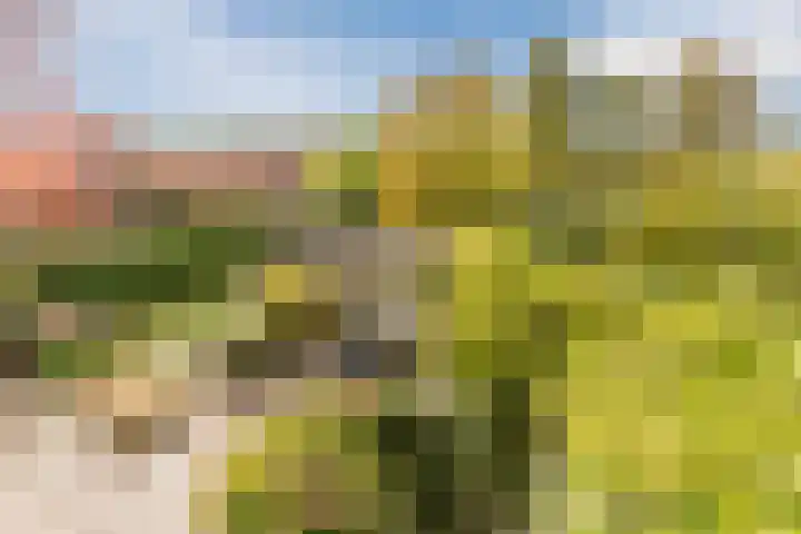 Fili 4 Geldrop thumbnail 63