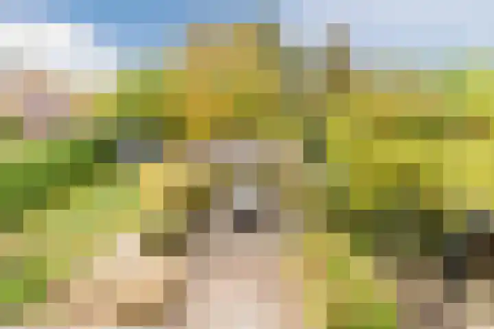 Fili 4 Geldrop thumbnail 64
