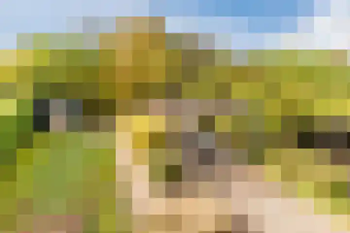 Fili 4 Geldrop thumbnail 65