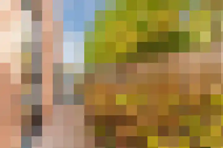 Fili 4 Geldrop thumbnail 66