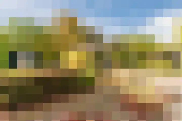 Fili 4 Geldrop thumbnail 67