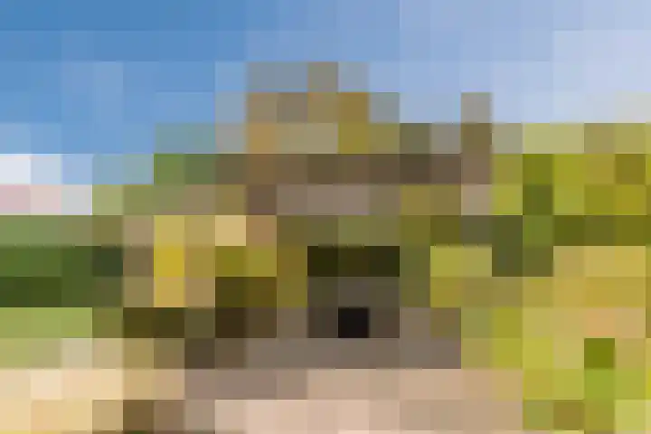 Fili 4 Geldrop thumbnail 68