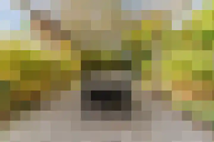 Fili 4 Geldrop thumbnail 69