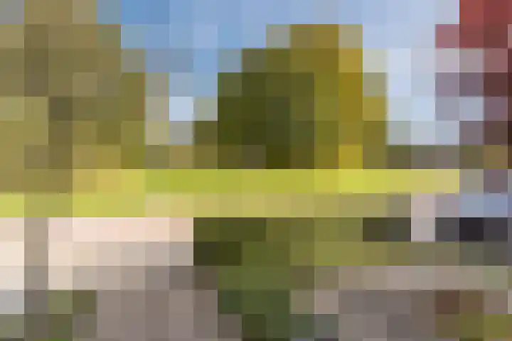 Fili 4 Geldrop thumbnail 7