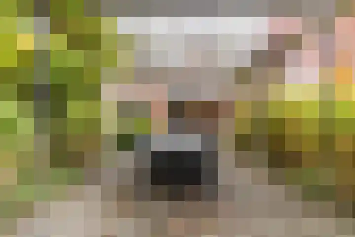 Fili 4 Geldrop thumbnail 70