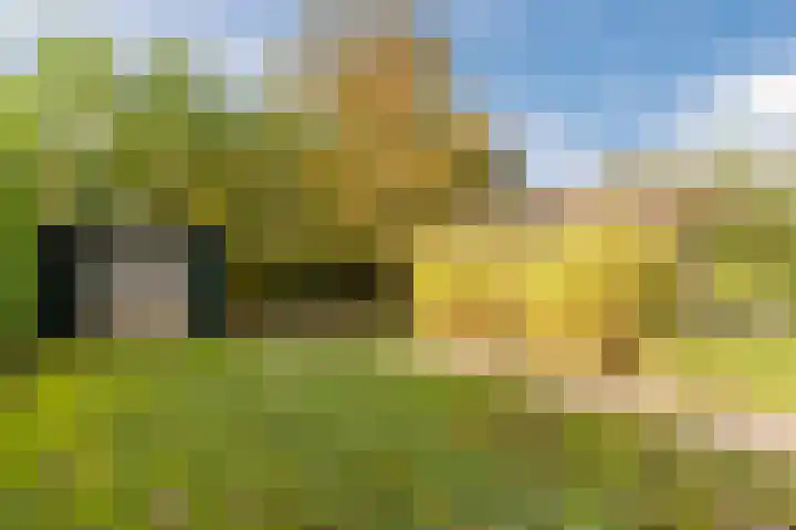 Fili 4 Geldrop thumbnail 73