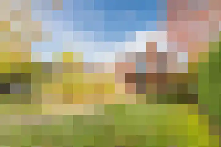 Fili 4 Geldrop thumbnail 74