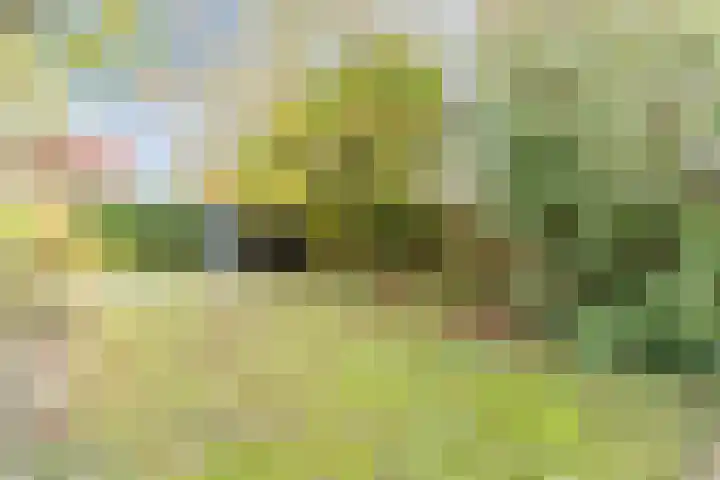 Fili 4 Geldrop thumbnail 75