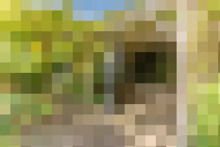 Fili 4 Geldrop thumbnail 76