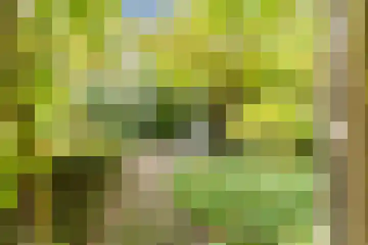 Fili 4 Geldrop thumbnail 77