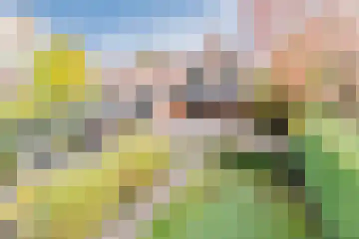 Fili 4 Geldrop thumbnail 78