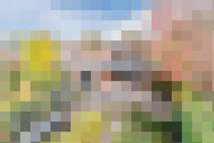 Fili 4 Geldrop thumbnail 79