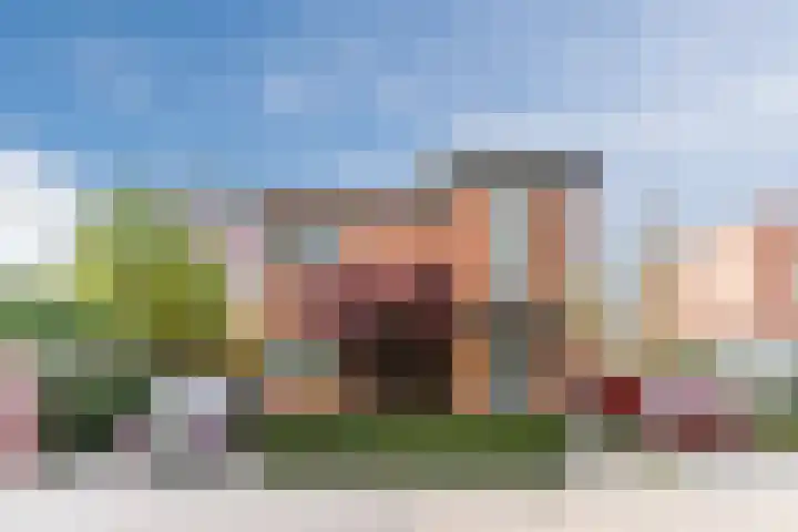 Fili 4 Geldrop thumbnail 82