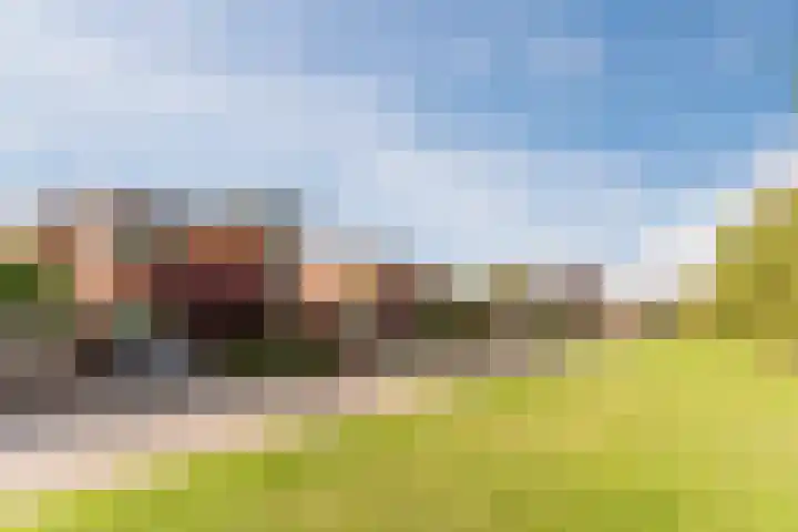 Fili 4 Geldrop thumbnail 83