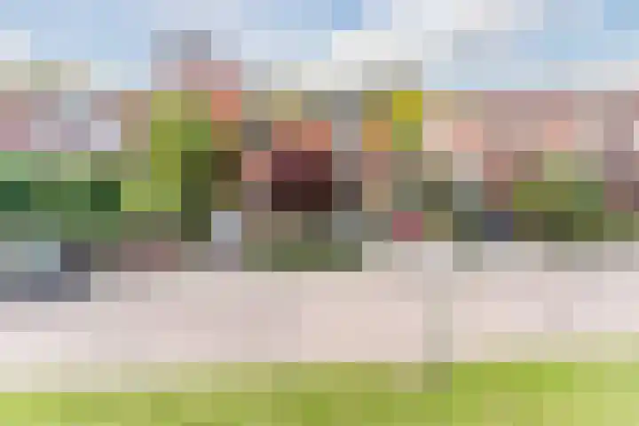 Fili 4 Geldrop thumbnail 85