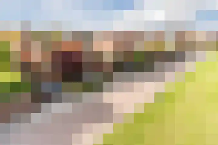 Fili 4 Geldrop thumbnail 87