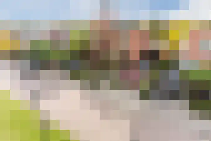 Fili 4 Geldrop thumbnail 88