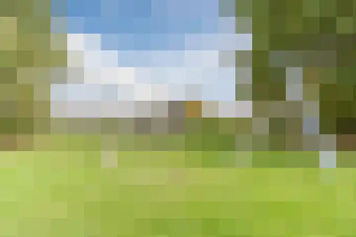 Fili 4 Geldrop thumbnail 89