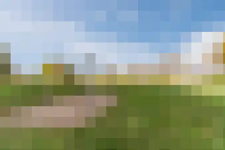 Fili 4 Geldrop thumbnail 90