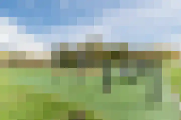 Fili 4 Geldrop thumbnail 91