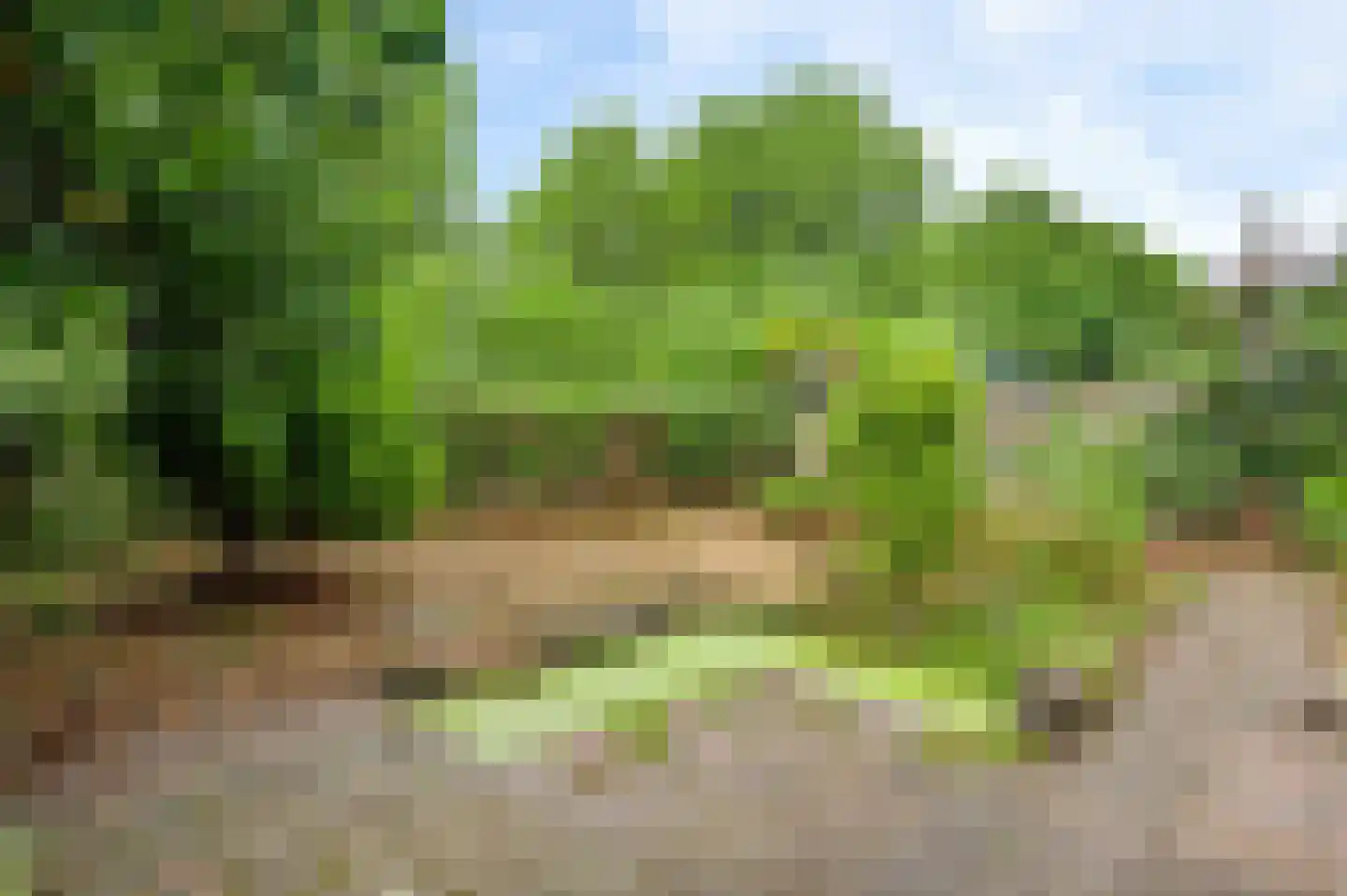 Filigraandonk 46 Maastricht thumbnail 4
