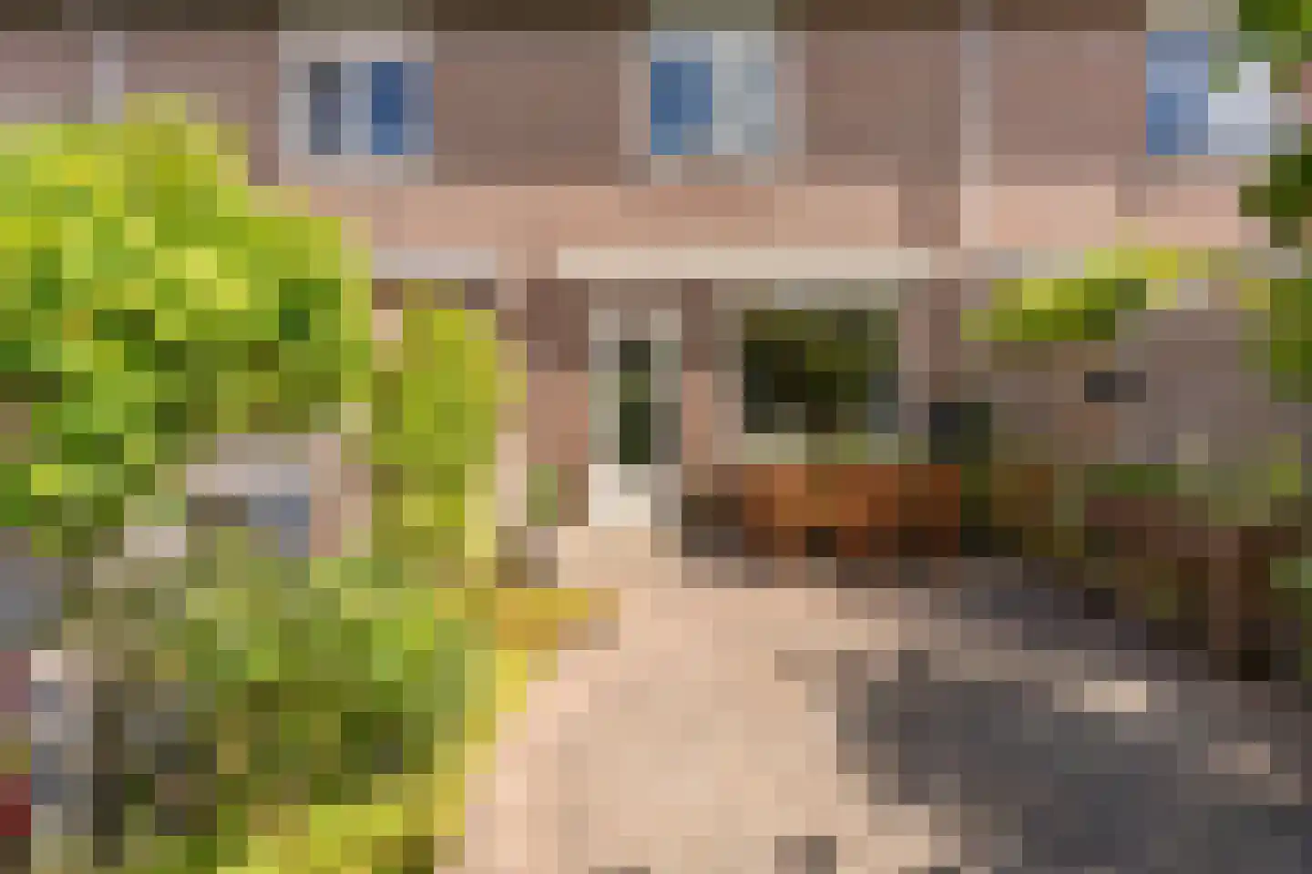 Filipijnen 105 Utrecht thumbnail 37