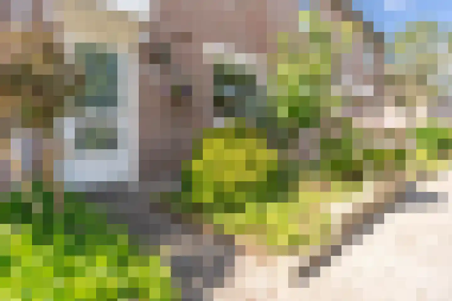 Filipijnen 105 Utrecht thumbnail 75