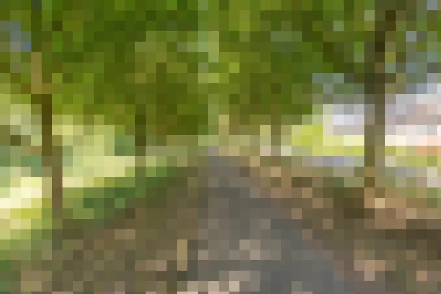 Filipijnen 105 Utrecht thumbnail 77