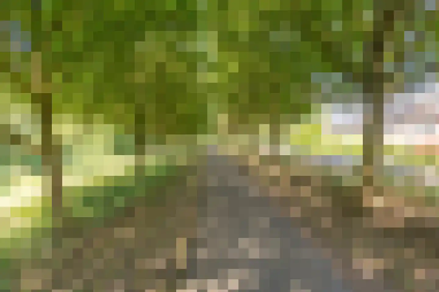 Filipijnen 105 Utrecht thumbnail 77