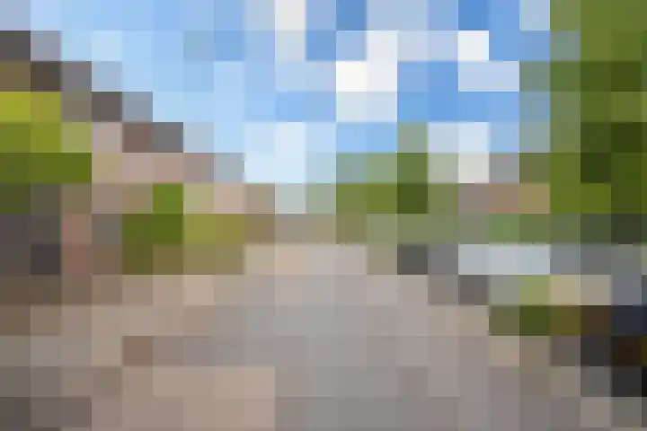 Filipijnen 113 Utrecht thumbnail 30