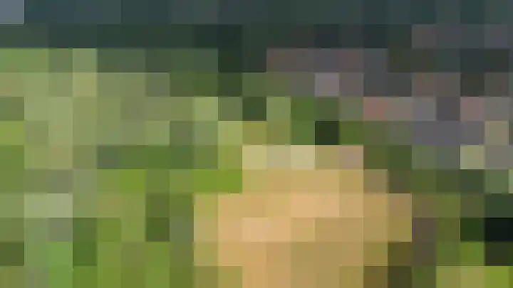 Filipijnen 113 Utrecht thumbnail 34