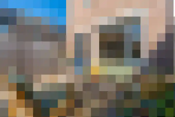 Filipijnen 131 Utrecht thumbnail 22
