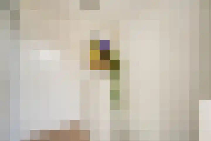 Filipijnen 131 Utrecht thumbnail 32