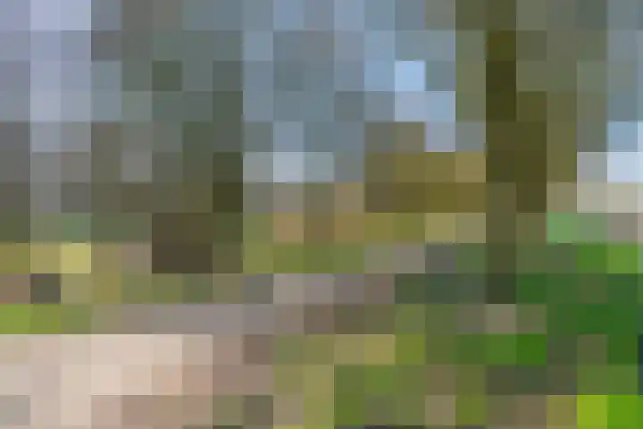 Filipijnen 131 Utrecht thumbnail 38