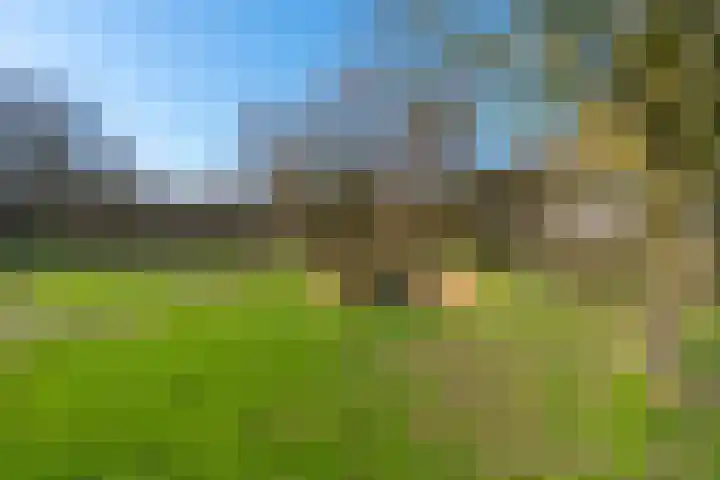 Filipijnen 131 Utrecht thumbnail 39