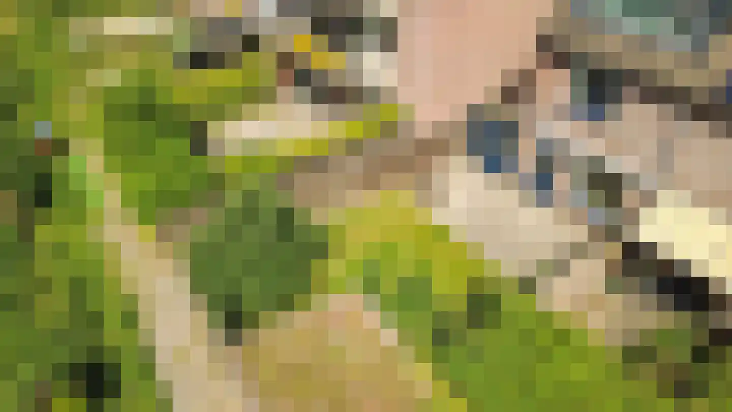 Filipijnen 267 Utrecht thumbnail 36