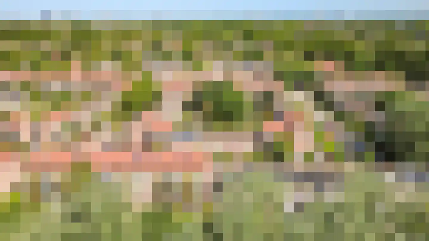 Filipijnen 267 Utrecht thumbnail 38
