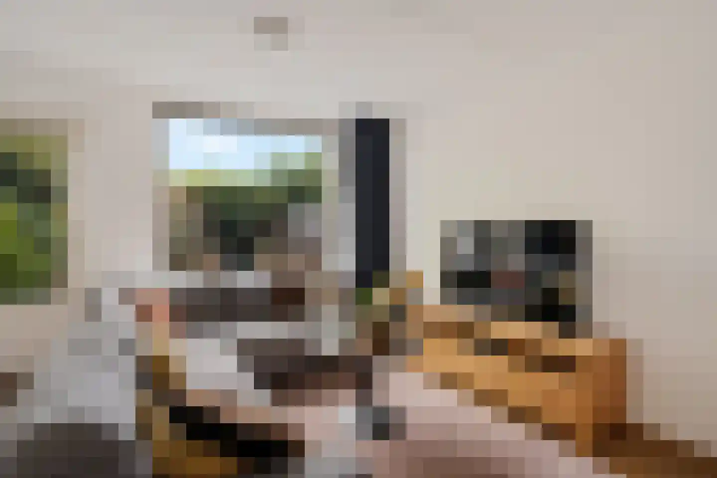 Filipijnen 64 Utrecht thumbnail 12