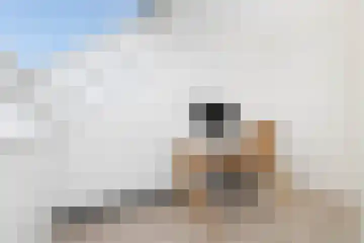 Filipijnen 79 Utrecht thumbnail 22