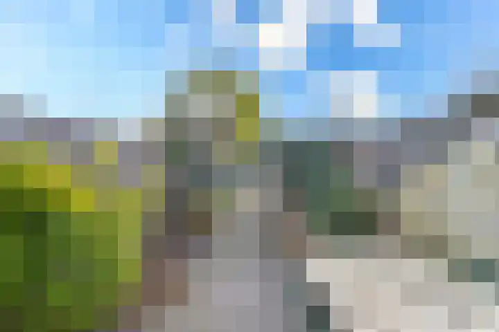 Filipijnen 79 Utrecht thumbnail 24
